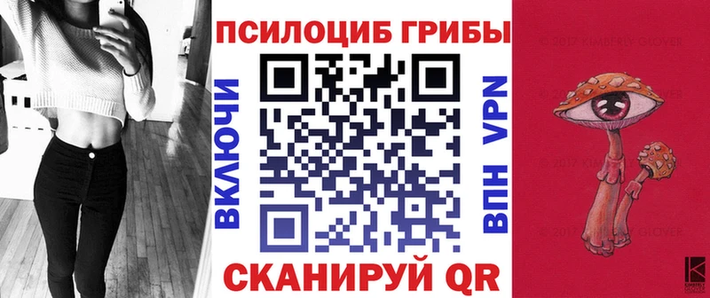 Псилоцибиновые грибы Magic Shrooms где продают наркотики Дрезна